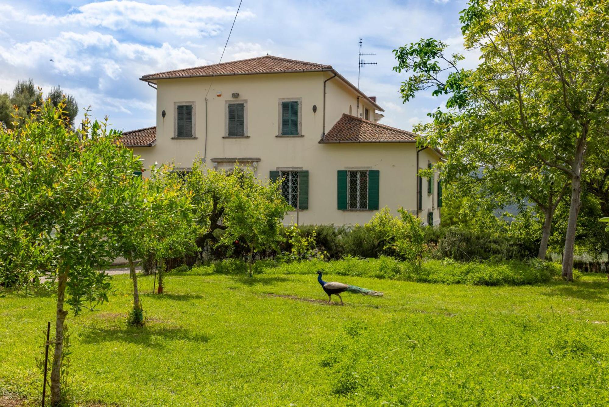 Entire Private Floor In An 1800S Frescoed Villa With Historic Park - Villa Mastrangelo Colli del Tronto Esterno foto