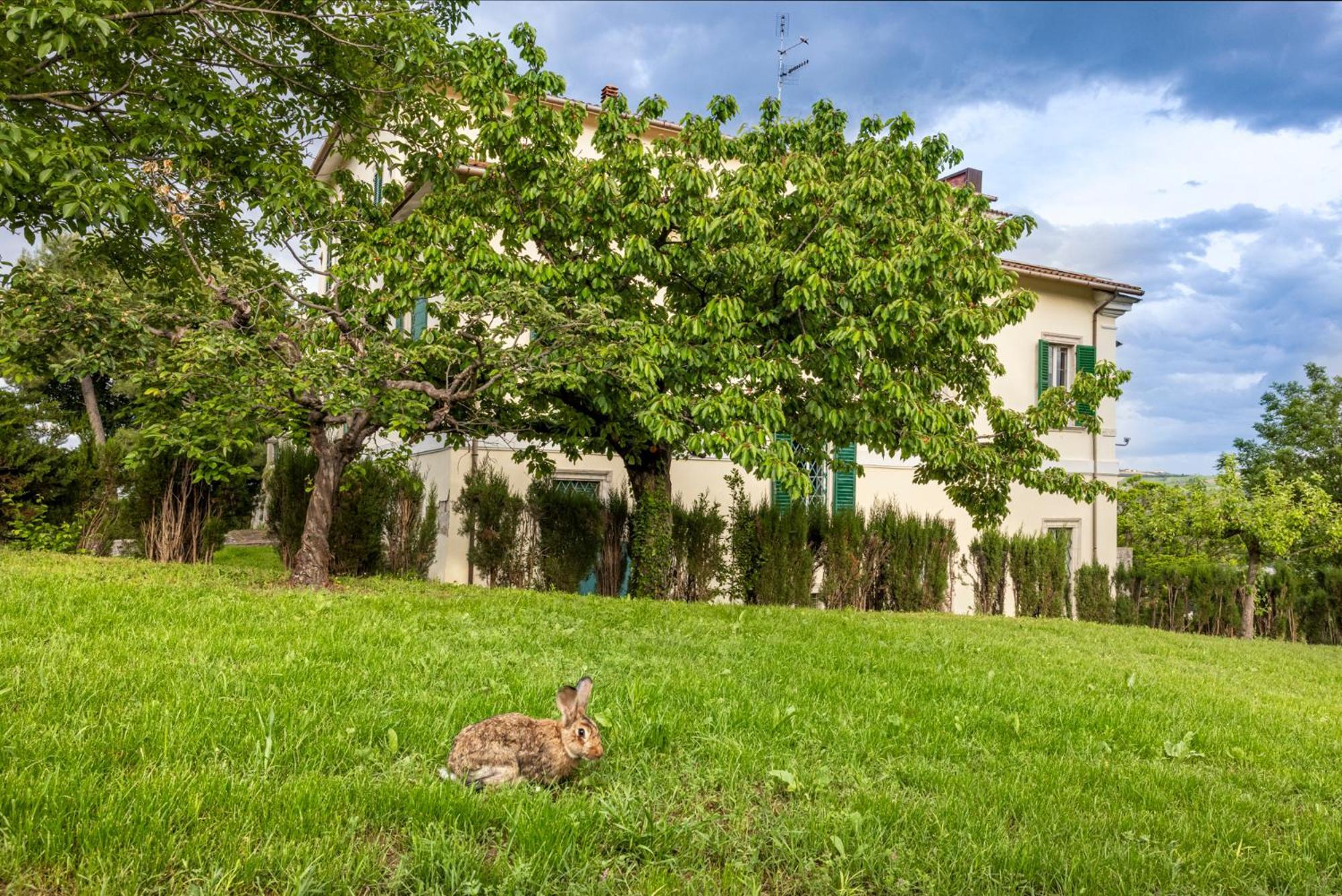 Entire Private Floor In An 1800S Frescoed Villa With Historic Park - Villa Mastrangelo Colli del Tronto Esterno foto